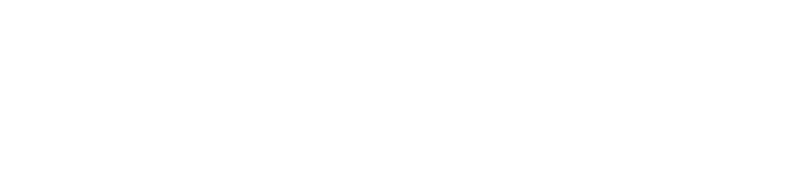 Logo Wirksamkeitsprofis